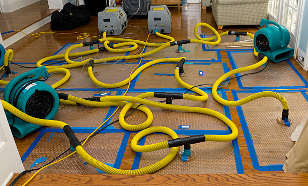 Professional Water Extraction technician working in Macomb, IL
